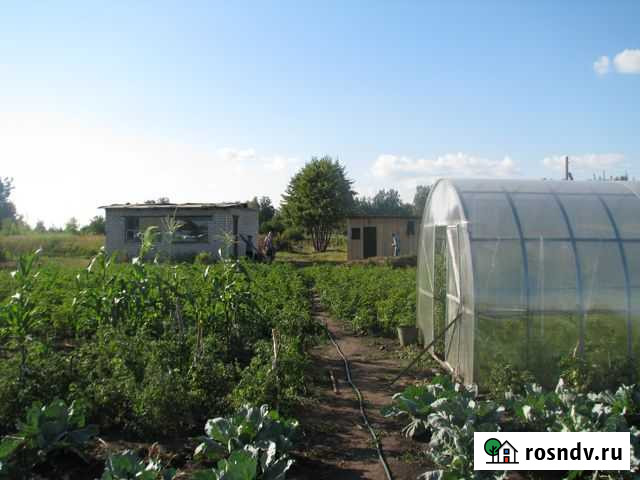 Участок СНТ, ДНП 13 сот. на продажу в Новоалтайске Новоалтайск - изображение 1