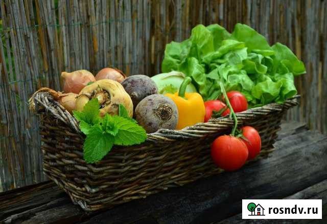 Участок ИЖС 10 сот. на продажу в Назие Назия - изображение 1