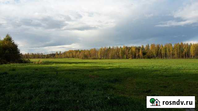 Участок СНТ, ДНП 419 сот. на продажу в Лодейном Поле Лодейное Поле - изображение 1