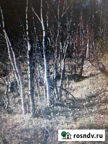 Участок ИЖС 15 сот. на продажу в Мурманске Мурманск - изображение 1