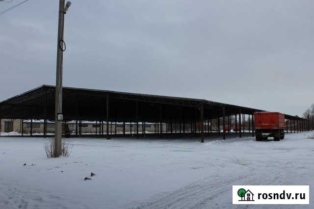 Комплекс производственно-складских зданий с зернот Большая Черниговка - изображение 1