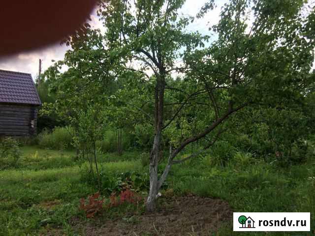 Участок СНТ, ДНП 8 сот. на продажу в Суроватихе Суроватиха - изображение 1