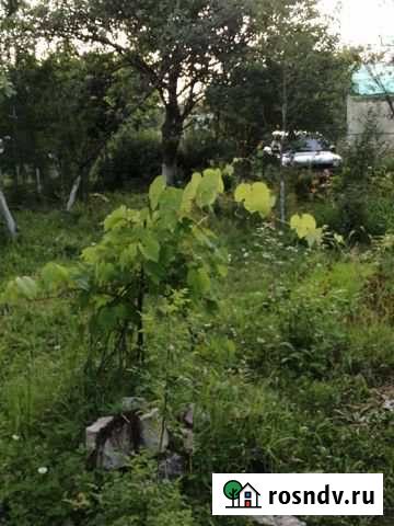 Дача 30 м² на участке 6 сот. на продажу в Дзержинске Дзержинск - изображение 1