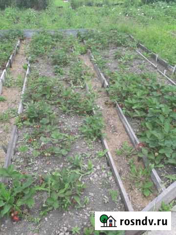 Дача 20 м² на участке 10 сот. на продажу в Комсомольске-на-Амуре Комсомольск-на-Амуре - изображение 1