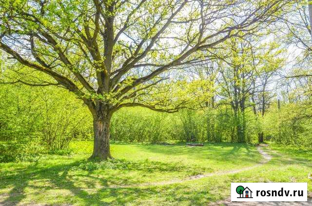 Участок ИЖС 15 сот. на продажу в Первомайском Тульской области Первомайский - изображение 1