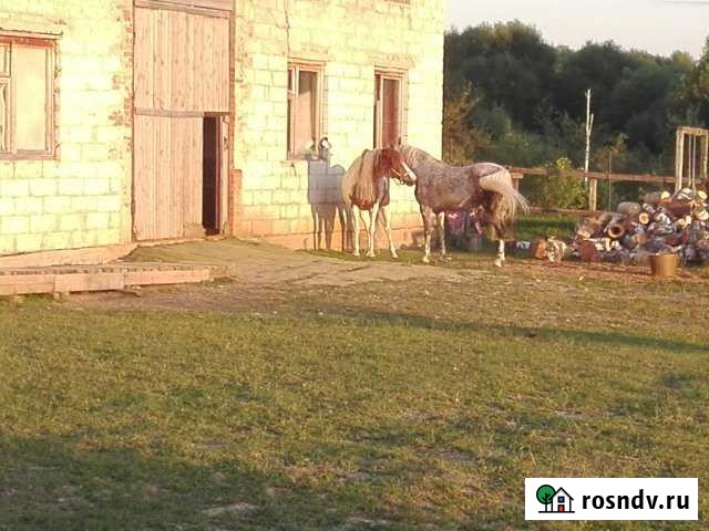 Дом 180 м² на участке 48 сот. в аренду на длительный срок в Домодедово Домодедово - изображение 1