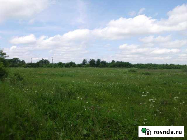 Участок СНТ, ДНП 1000 сот. на продажу в Зубцове Зубцов - изображение 1