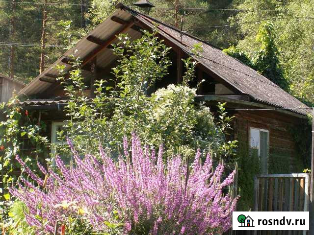 Дача 40 м² на участке 12 сот. в аренду посуточно в Горно-Алтайске Горно-Алтайск - изображение 1