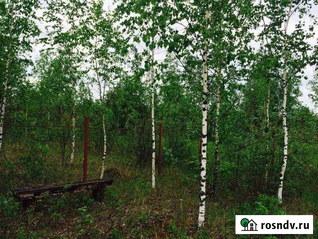 Участок СНТ, ДНП 16 сот. на продажу в Сычево Сычево - изображение 1