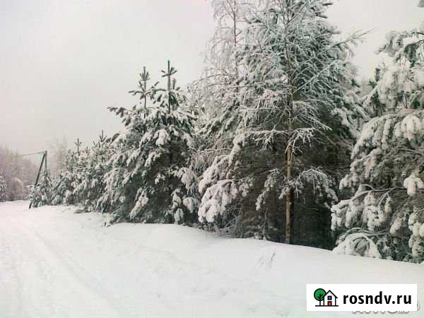 Участок ИЖС 15 сот. на продажу в Озерном Тверской области Озерный - изображение 1