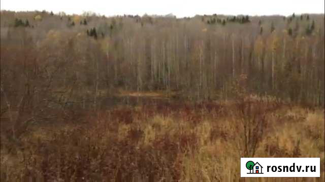 Участок ИЖС 15 сот. на продажу в Подпорожье Подпорожье - изображение 1