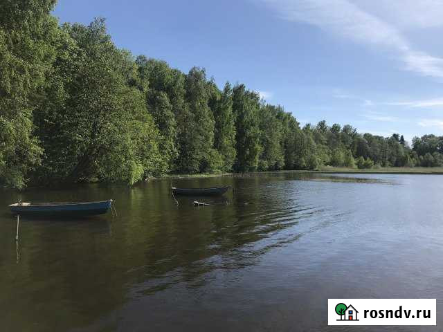 Участок ИЖС 170 сот. на продажу в Первомайском Ленинградской области Первомайское - изображение 1