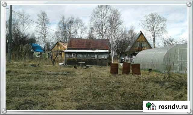 Участок СНТ, ДНП 6 сот. на продажу в Елизово Елизово - изображение 1