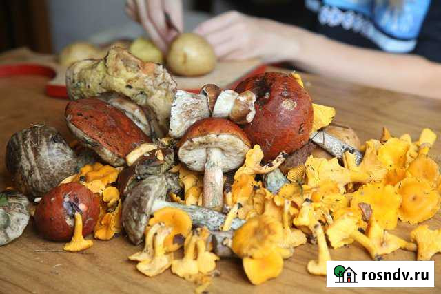 Участок СНТ, ДНП 6 сот. на продажу в Киришах Кириши - изображение 1