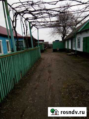 Дом 56 м² на участке 35 сот. на продажу в Мирском Мирской - изображение 1