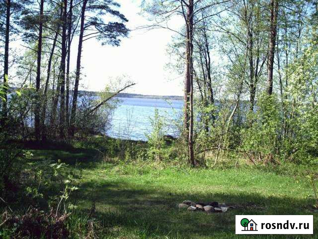 Участок ИЖС 24 сот. на продажу в Приозерске Приозерск - изображение 1