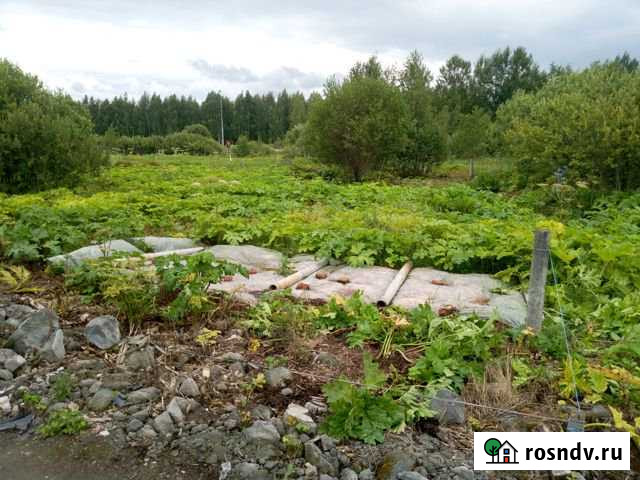 Участок СНТ, ДНП 7 сот. на продажу в Электростали Электросталь - изображение 1