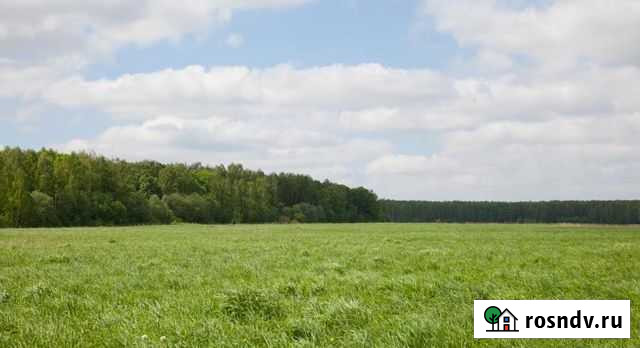 Участок ИЖС 12 сот. на продажу в Володарского Володарского - изображение 1