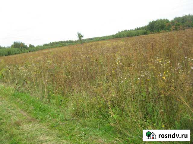 Участок СНТ, ДНП 4000 сот. в аренду в Юхнове Юхнов - изображение 1