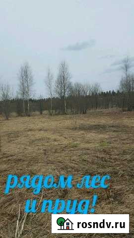 Участок ИЖС 30 сот. на продажу в Бегуницах Бегуницы - изображение 1