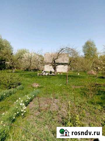 Участок ИЖС 42 сот. на продажу в Строителе Белгородской области Строитель - изображение 1