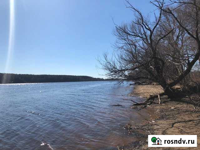 Участок СНТ, ДНП 1000 сот. на продажу в Редкино Редкино - изображение 1