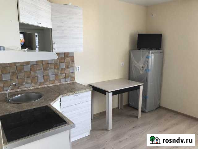 Квартира-студия, 24 м², 11/19 эт. на продажу в Воронеже Воронеж - изображение 1