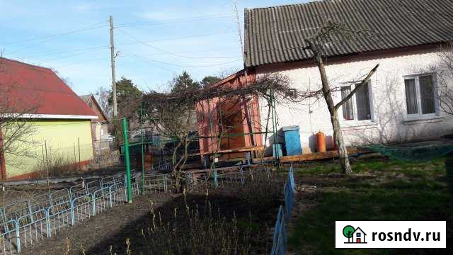 Дом 51 м² на участке 6 сот. на продажу в Светлом Калининградской области Светлый - изображение 1