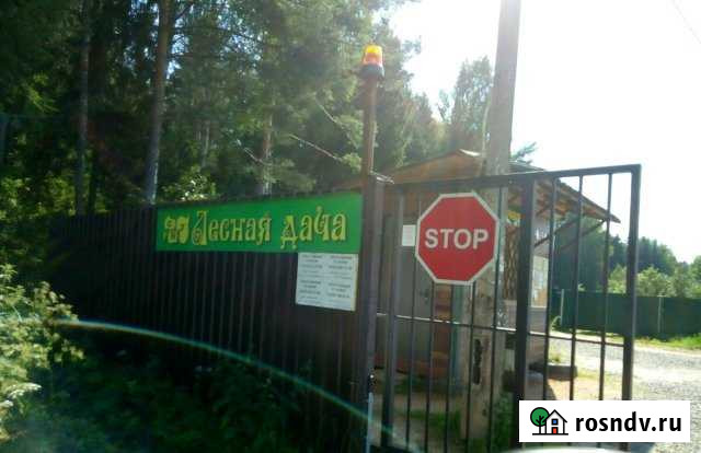 Дача 50 м² на участке 6 сот. на продажу в Решетниково Решетниково - изображение 1