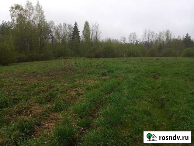 Участок СНТ, ДНП 10 сот. на продажу в Стругах Красных Струги Красные - изображение 1