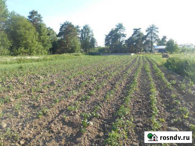 Участок ИЖС 27 сот. на продажу в Дальнем Константиново Дальнее Константиново - изображение 1