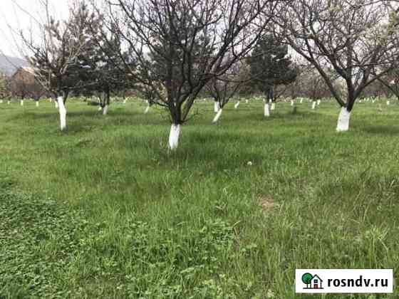 Участок ИЖС 100 сот. на продажу в Ленинкенте Ленинкент