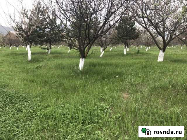 Участок ИЖС 100 сот. на продажу в Ленинкенте Ленинкент - изображение 1