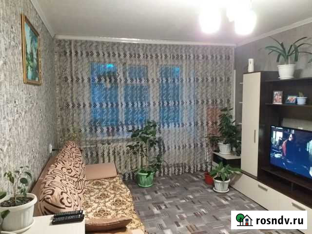 1-комнатная квартира, 34 м², 2/5 эт. на продажу в Шуе Ивановской области Шуя - изображение 1