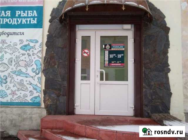 Нежилое помещение, г. Елизово, ул. Ватутина Елизово - изображение 1