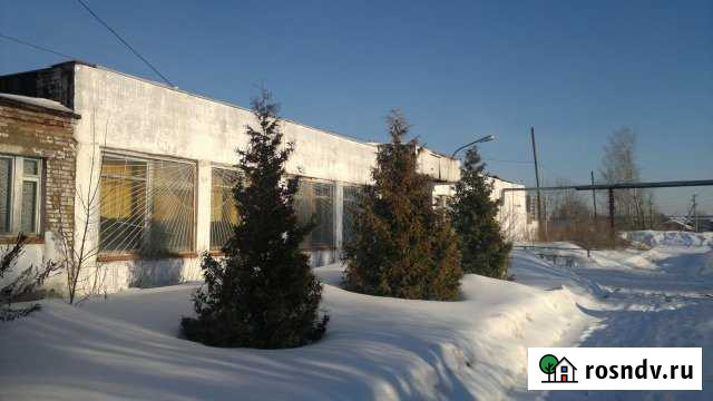 Помещение свободного назначения, 787.1 кв.м. (с зу) Кондратово - изображение 1