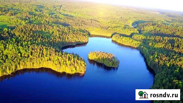 Участок СНТ, ДНП 290 сот. на продажу в Сортавале Сортавала - изображение 1