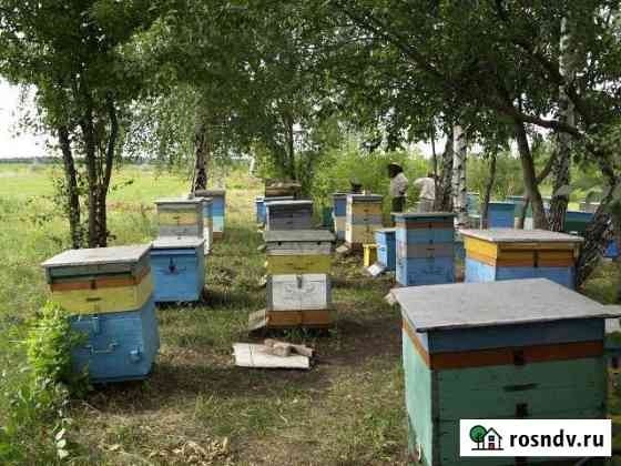 Участок СНТ, ДНП 928 сот. на продажу в Бутурлиновке Бутурлиновка