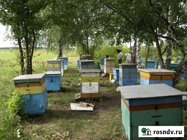 Участок СНТ, ДНП 928 сот. на продажу в Бутурлиновке Бутурлиновка - изображение 1