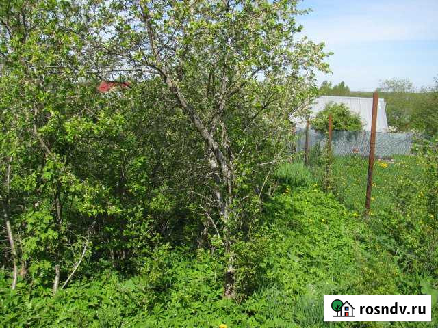 Участок СНТ, ДНП 8 сот. на продажу в Синявино Синявино - изображение 1