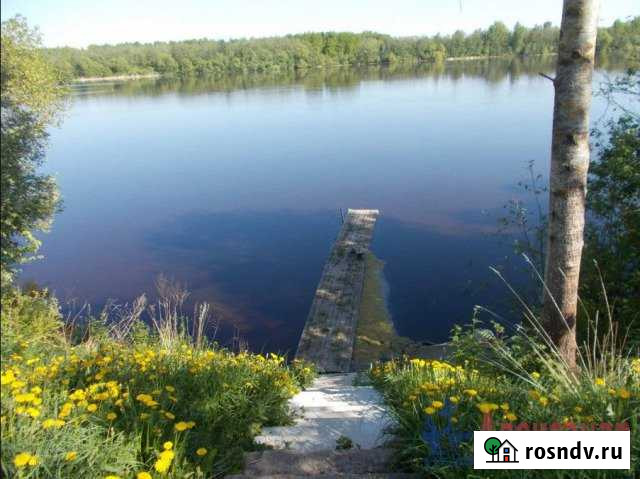 Дом 36 м² на участке 35 сот. на продажу в Волхове Волхов - изображение 1