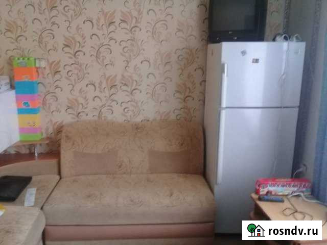 Комната 20 м² в 1-ком. кв., 2/2 эт. на продажу в Восточном Восточное - изображение 1