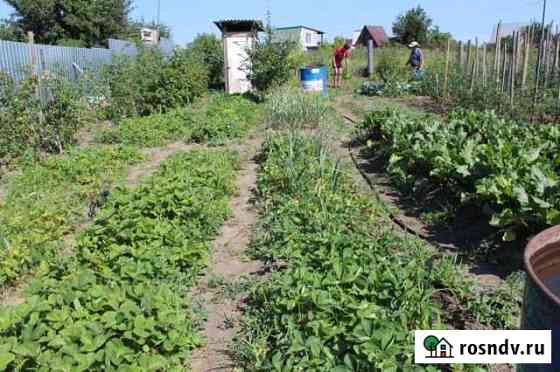 Участок СНТ, ДНП 7 сот. на продажу в Лебяжьем Алтайского края Лебяжье