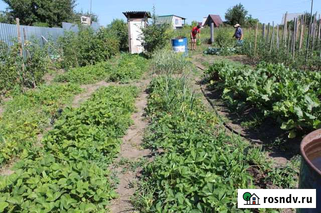 Участок СНТ, ДНП 7 сот. на продажу в Лебяжьем Алтайского края Лебяжье - изображение 1