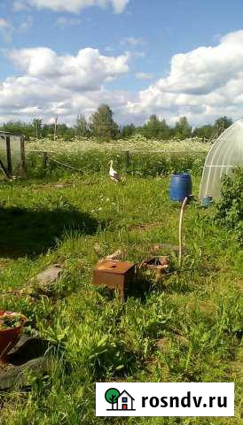 Участок ИЖС 15 сот. на продажу в Пустошке Пустошка - изображение 1