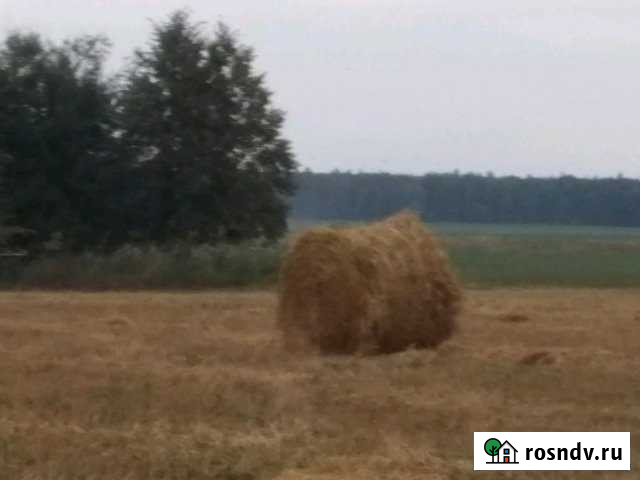 Участок СНТ, ДНП 206 сот. на продажу в Комсомольском Республики Чувашия Комсомольское - изображение 1