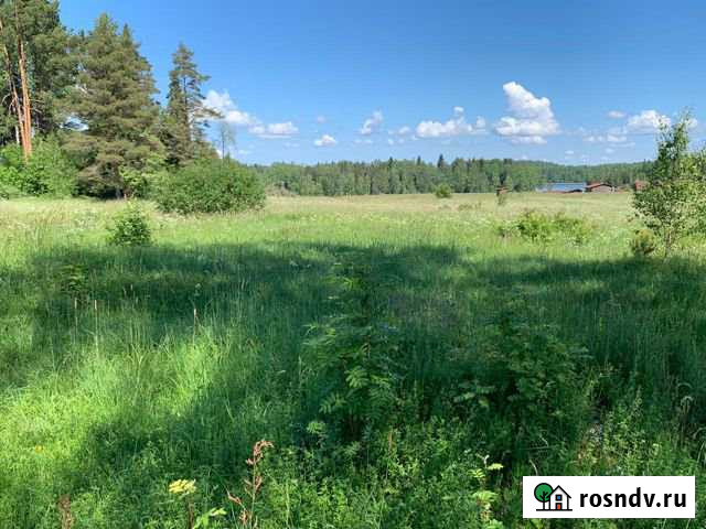 Участок СНТ, ДНП 30 сот. на продажу в Кузнечном Кузнечное - изображение 1