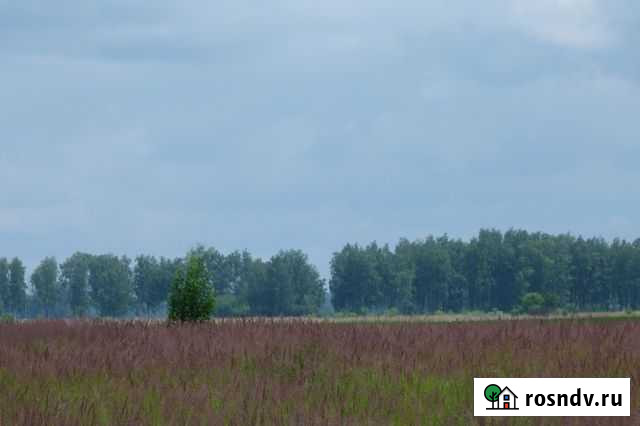 Участок СНТ, ДНП 700 сот. на продажу в Лакинске Лакинск - изображение 1