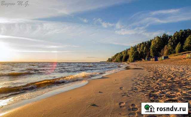 Коттедж 221 м² на участке 29 сот. в аренду посуточно в Городце Городец - изображение 1