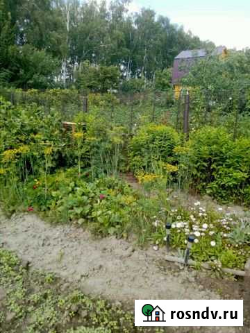 Дача 20 м² на участке 3 сот. на продажу в Осиново Осиново - изображение 1